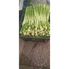 播商老师 野菜线上知识小课堂