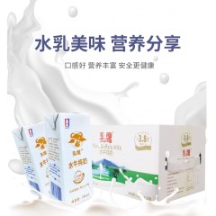 广西北海水牛纯奶200ml*10盒装牛奶整箱儿童学生成人补钙营养早餐奶