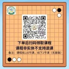 【智迪棋院】围棋国际象棋指导课