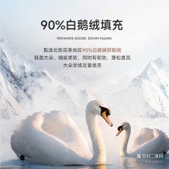 冬季新款鹅绒衬衫男长袖商务休闲中加厚保暖衬衣男装