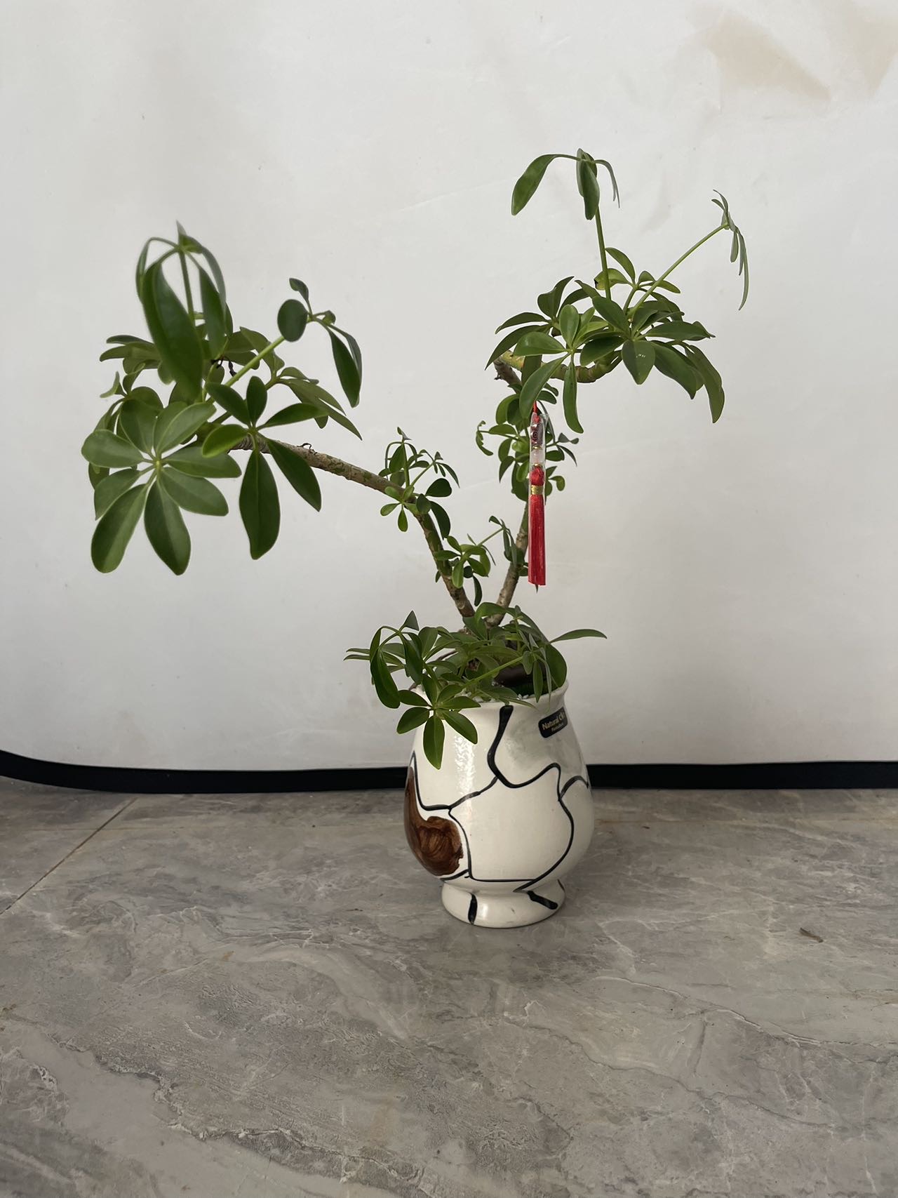 https://sp.dscmall.cn/storage/uploads/image/2024/08/31/1178_9myTiWRk2KHGox7kGgCXBsoPPggqWB.png